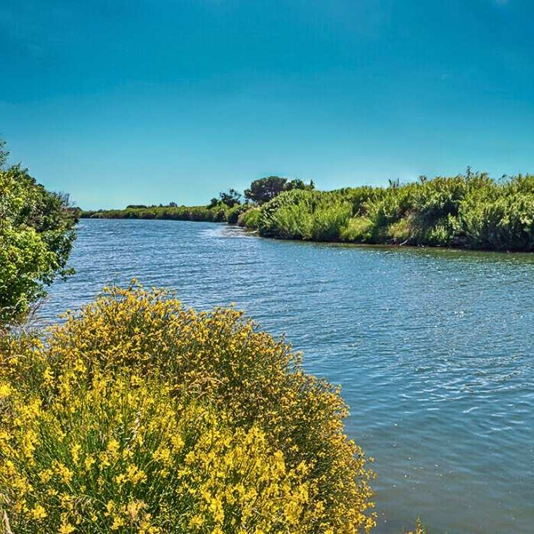 Camping Sérignan